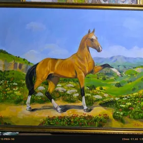 cekilen at kartina portret