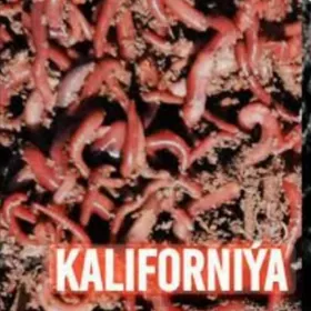 biogumus kaliforniya gyzyl gur