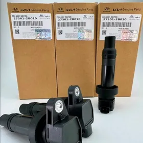 HYUNDAI KIA katuska proton