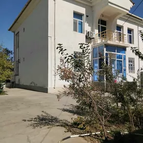 taze zaman  1tap 5 kom