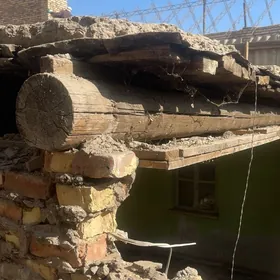 agaç / дерево