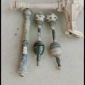 Tuarek Folusfagen 2014 karopka