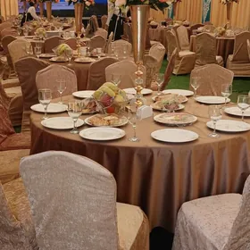 Toÿ palatka zanaweska