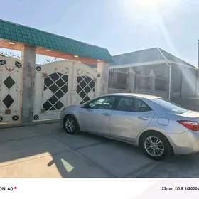 Eyesinden satlyk jay