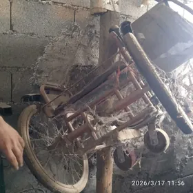 inwalit kolyaska mugt