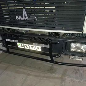 маз багажник ве дуга