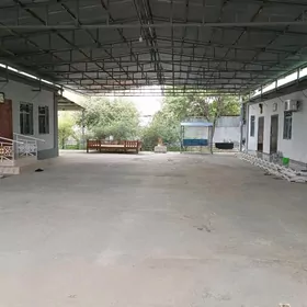 Eyesinden satlyk jay