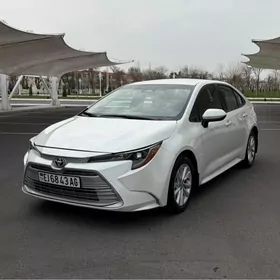 Toyota Corolla 2023