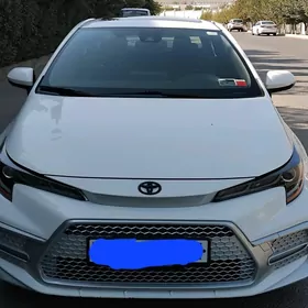 Toyota Corolla 2020