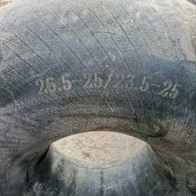 paguruşyk kamyr fliper