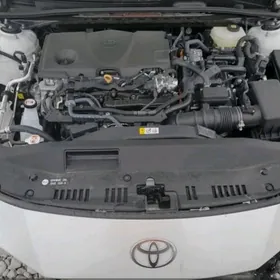 pat kapot camry 2025