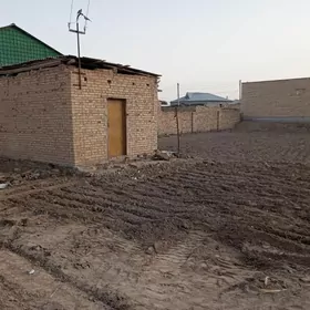 айрапот дача .