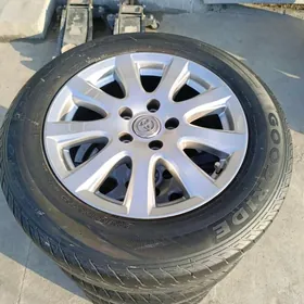 16 awyryon disga pakrişga