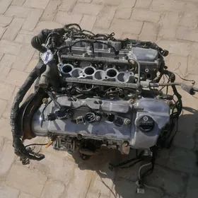 Toyata awalon mator vvti