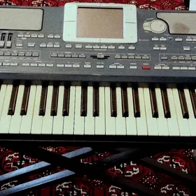 Korg pa800
