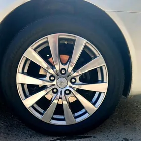 Obmen 215.55.17 Limited 2