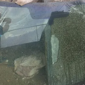 Лабавой каролла 2004