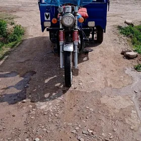 Fekon FK200-14G 2017