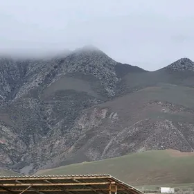 32 sotka dag etek Gawers arend