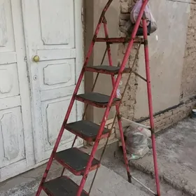 zengi lesnissa зенги леснисса