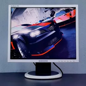 Monitor 17
