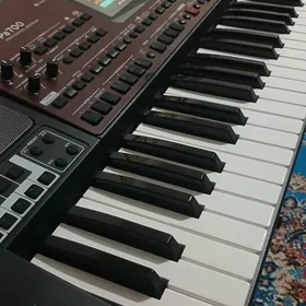 Korg pa700 Oriental