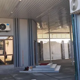 EYESINDEN ÇOGANLY PLON JAY