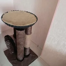 комплекс для кота(кошки)