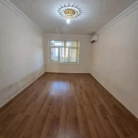 Satlyk 11 nji mkr ipateyka