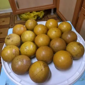 бильярдные шары