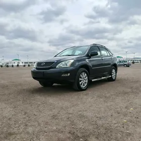 Lexus RX 330 2004