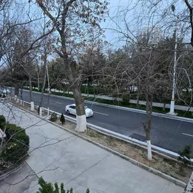 Beik Potolok Atamyrat Aleya