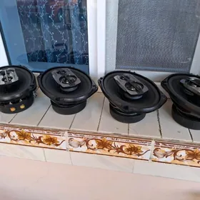 pioner nikil pecatly orginal