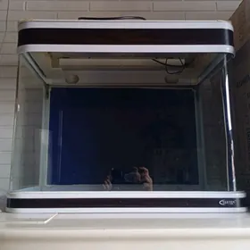 akwarium аквариум