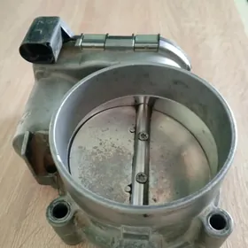 zaslonka kömelekler