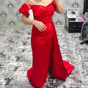 вечерны койнек