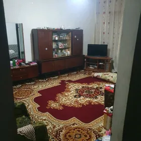 satlyk jay zelli koce