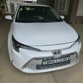 Toyota Corolla 2022