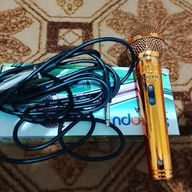 Mikrofon
