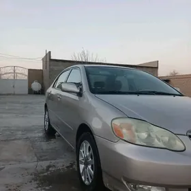 Toyota Corolla 2003