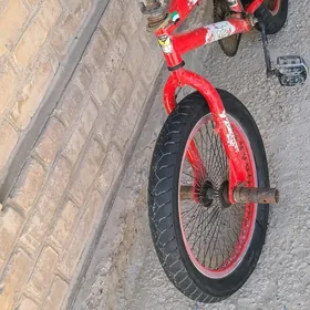 welsepet tigir welsopet kama