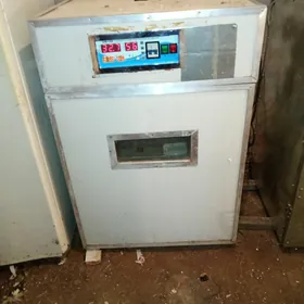 Инкубатор.Inkubator