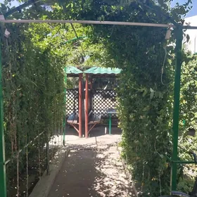 дукан ,кафе.