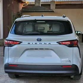 Toyota Sienna 2021