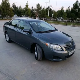 Toyota Corolla 2010