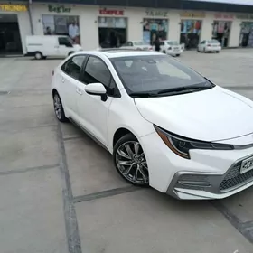 Toyota Corolla 2020