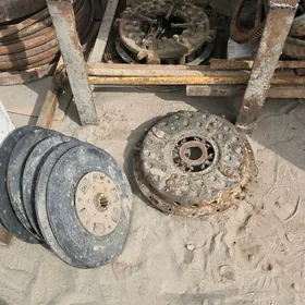 Мазын мухты кискалары