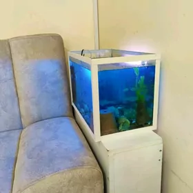 аквариум аkwarium balyk