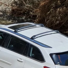 highlander haylander liza