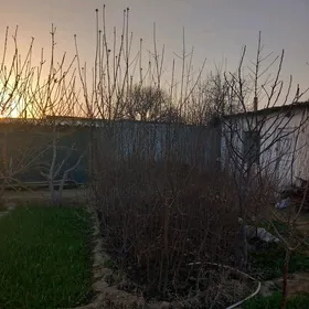 Erik Nahal 3yyl bolan getirip